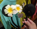 Plumeria Black Ears